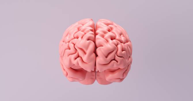 Câncer no cérebro: conheça as causas, sintomas e tratamentos