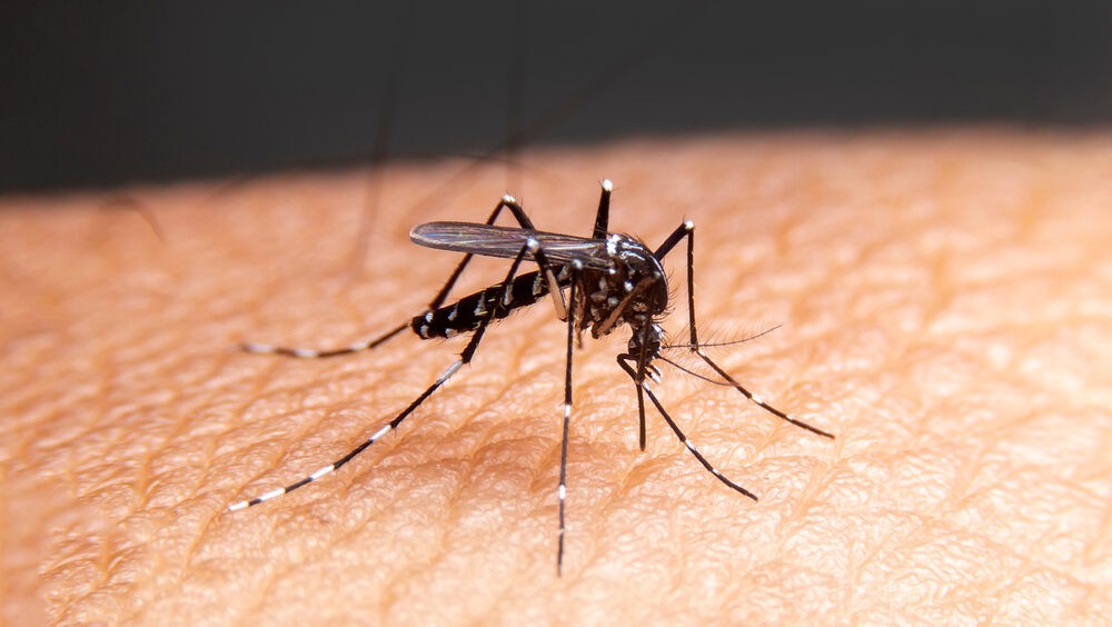 Brasil supera casos de dengue