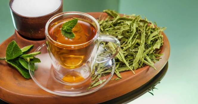 Chá para azia: melhores opções, benefícios e como preparar