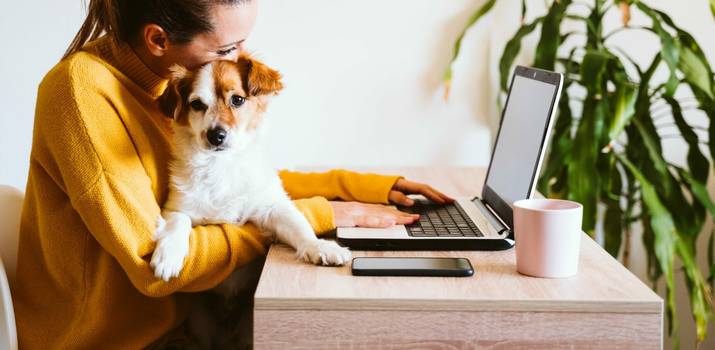 Pet no trabalho? Estudo explica benefícios de empresas pet-friendly