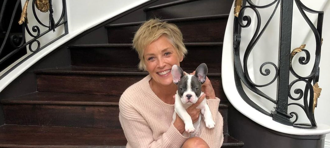 aborto de repetição