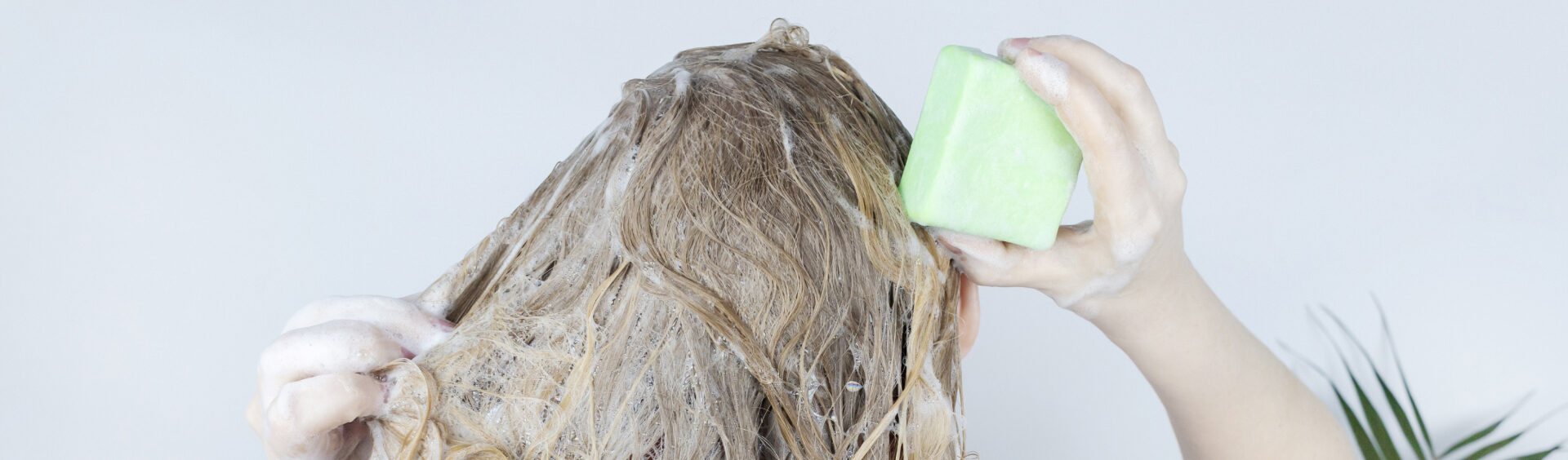 cosméticos sólidos