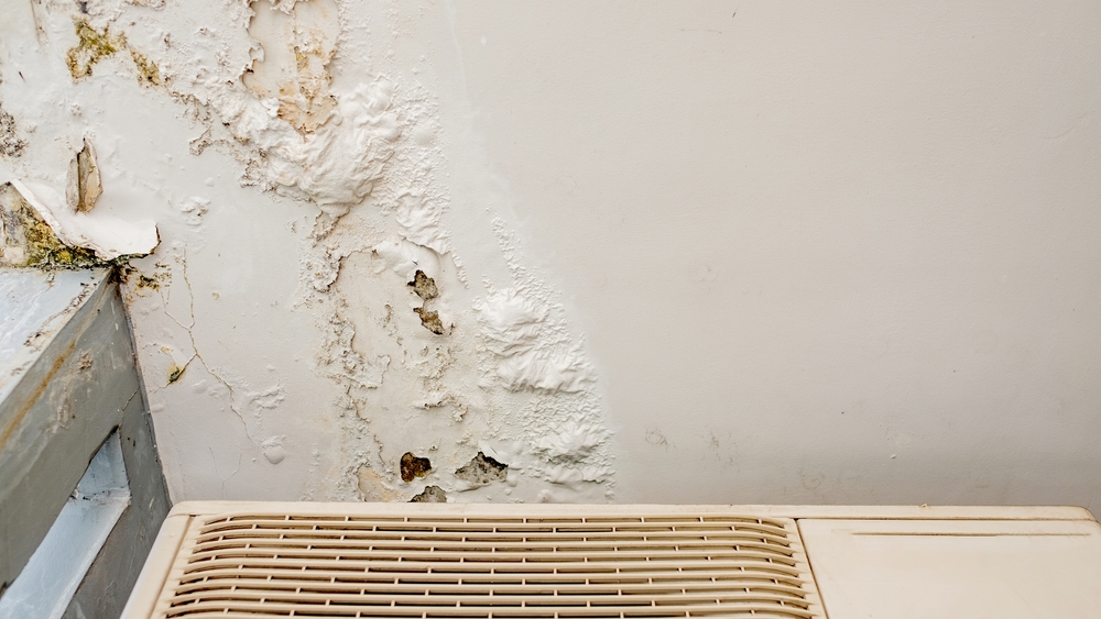 Infiltração em casa: riscos, causas e como conter