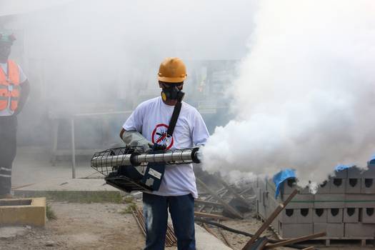 Mortes por dengue em 2022 ultrapassam o dobro do ano passado 