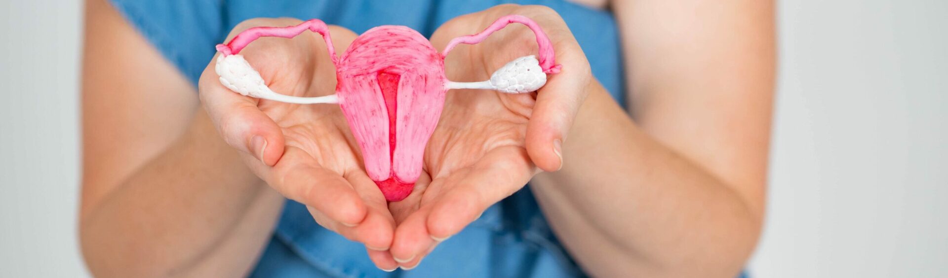 volume uterino