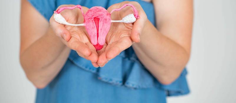 Volume uterino: o que é, como medir e porque está aumentado