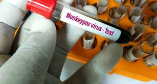 Surto de varíola dos macacos: o que se sabe até o momento?