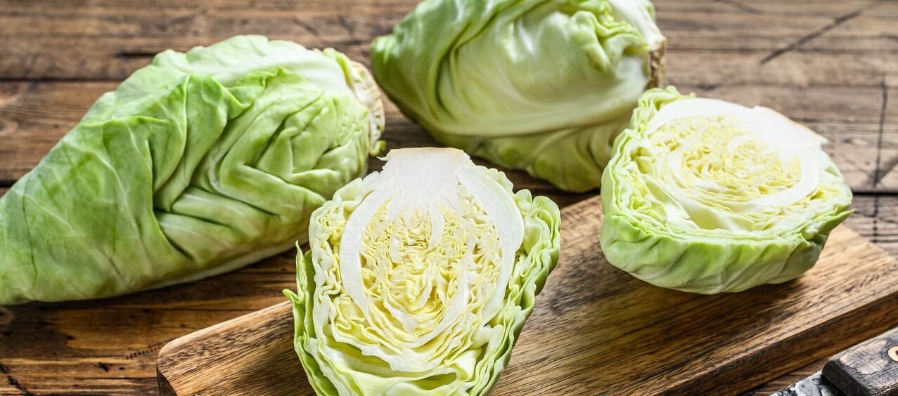 Usar-folha-de-repolho-nos-seios-ajuda-no-ingurgitamento-mamário