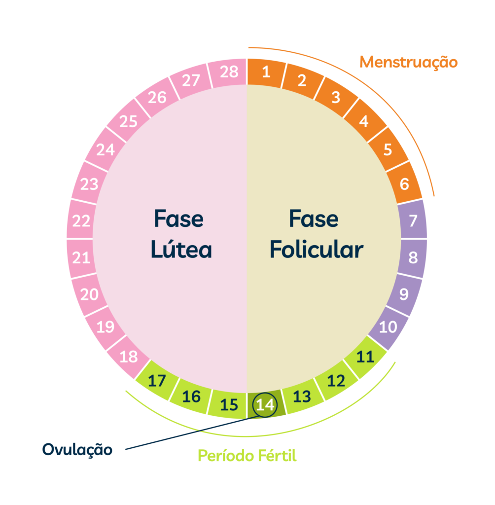 fase menstruacao