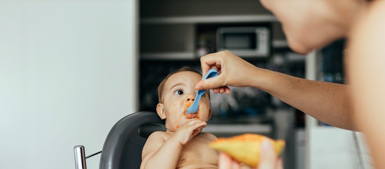 Introdução-alimentar-precoce