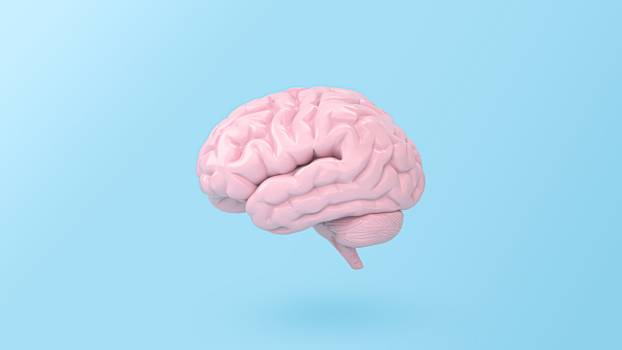 Dia do cérebro: entenda sobre o envelhecimento do cérebro