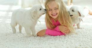 Cães podem acalmar crianças: pediatra aponta lado bom da relação