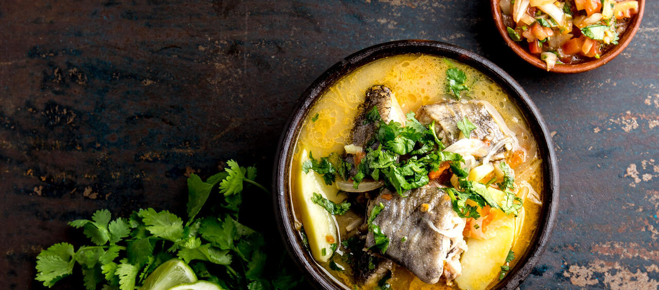 sopa-creme de carotenoides