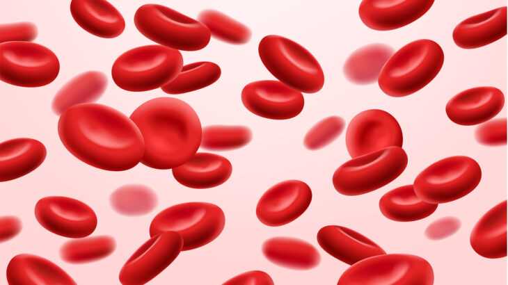 A trombocitemia essencial é uma doença que causa um aumento descontrolado das células sanguíneas, especialmente de plaquetas