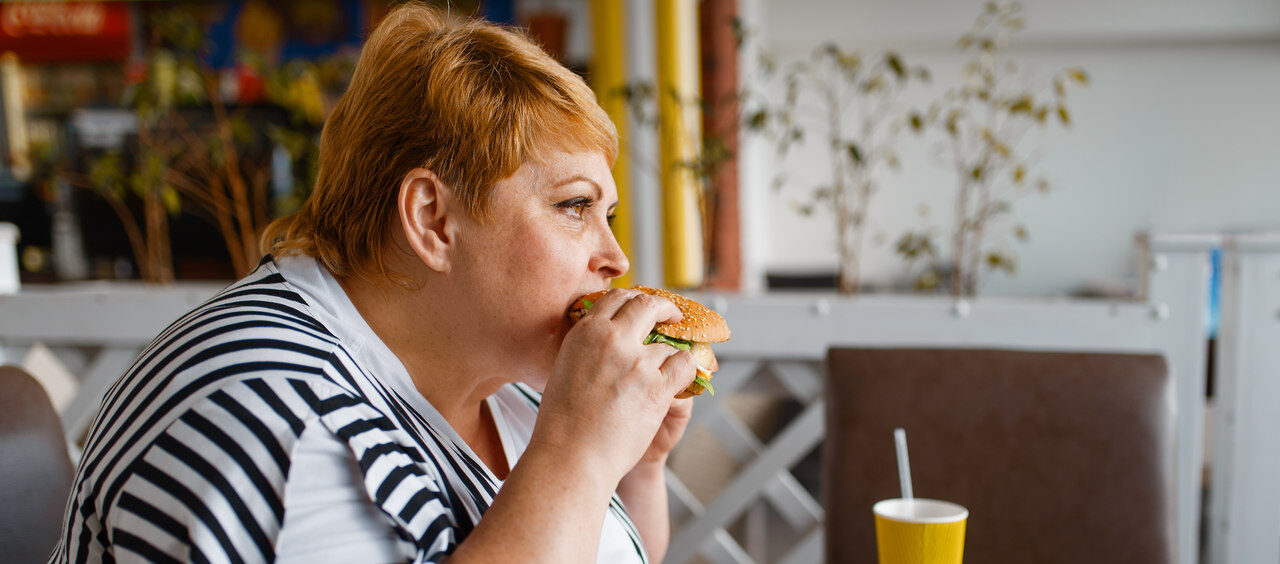 principal causa da obesidade