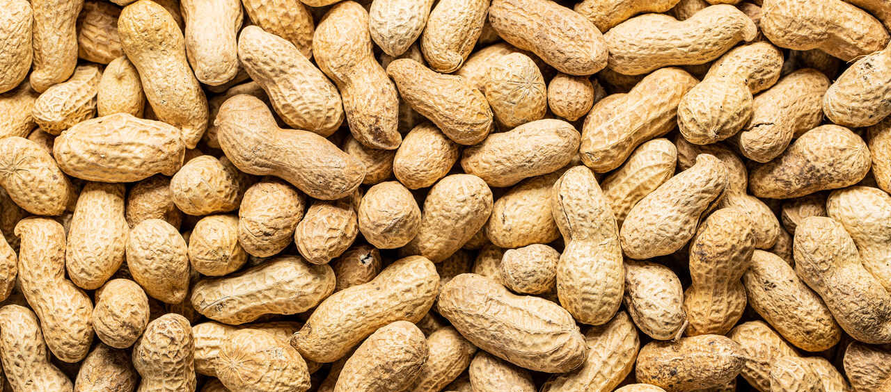 Como usar o amendoim para emagrecer