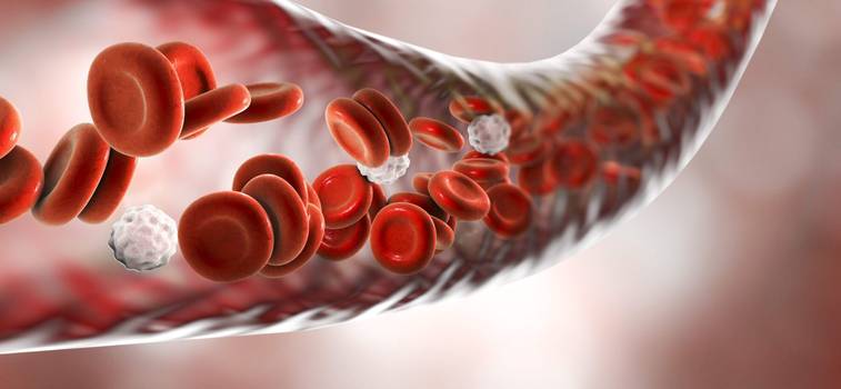 Anemia hemolítica: o que é, principais sintomas e tratamento