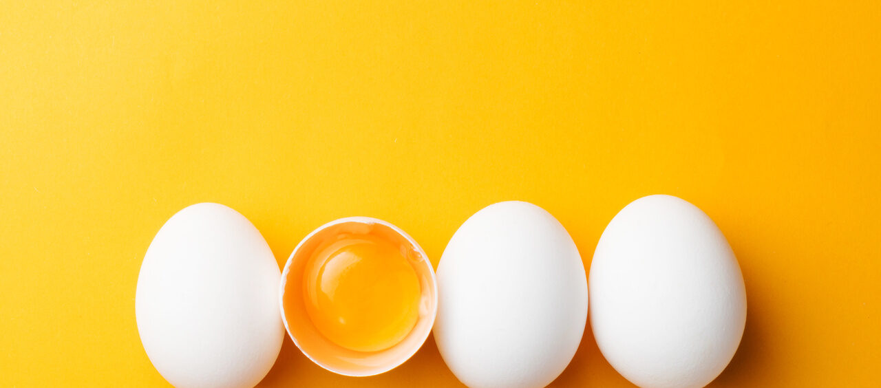 gema do ovo
