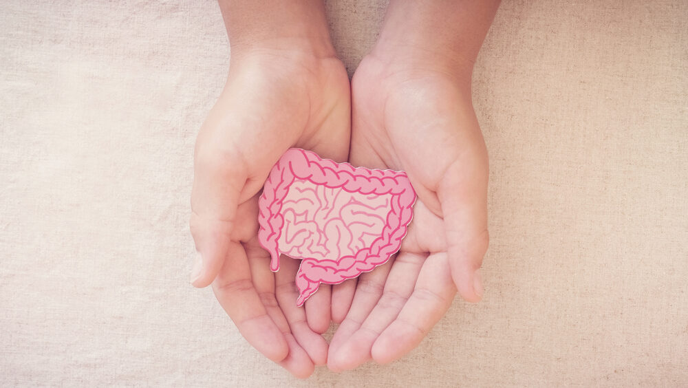 transplante de fezes