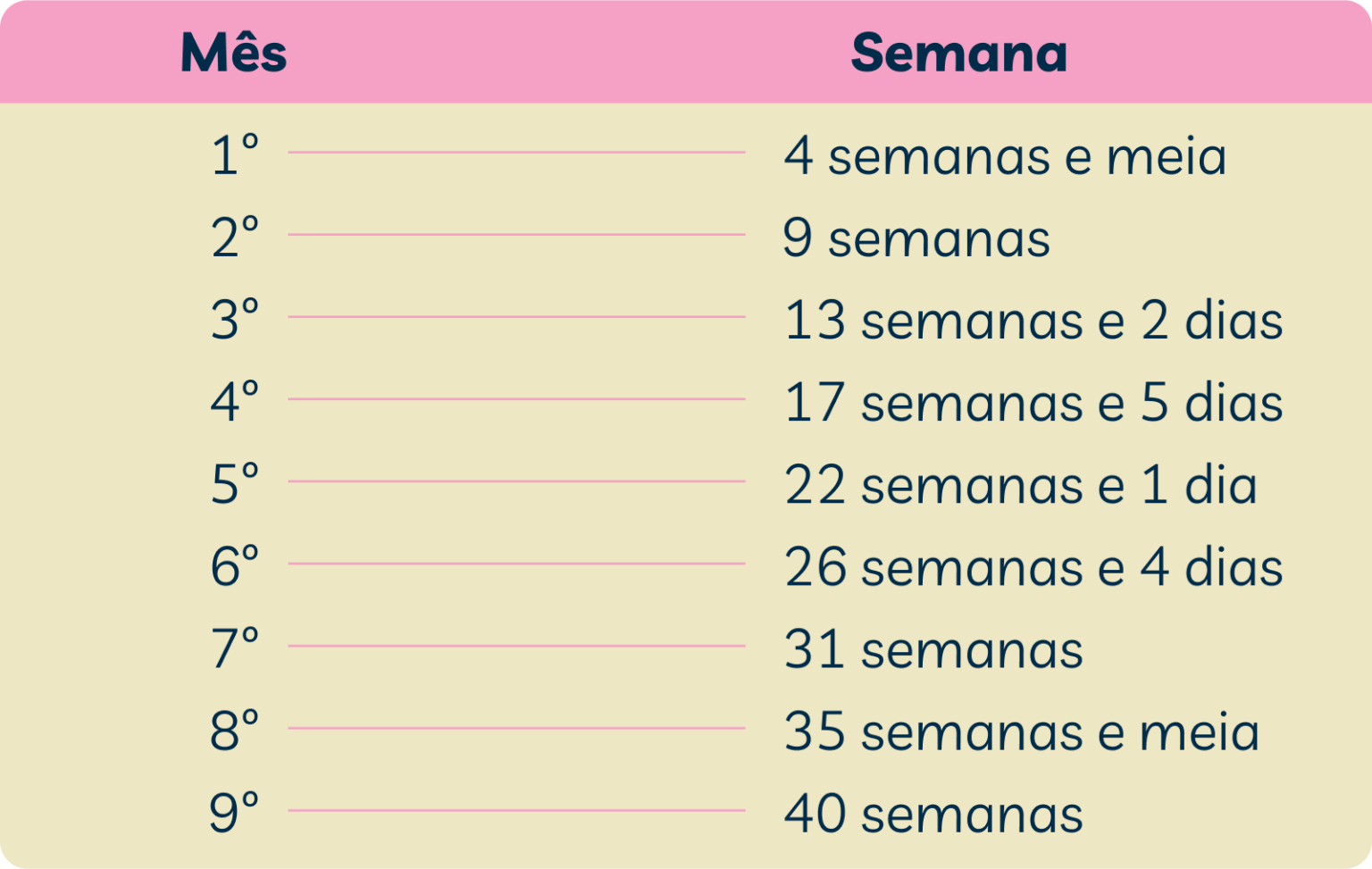 Como converter semanas em meses de gravidez - Vitat