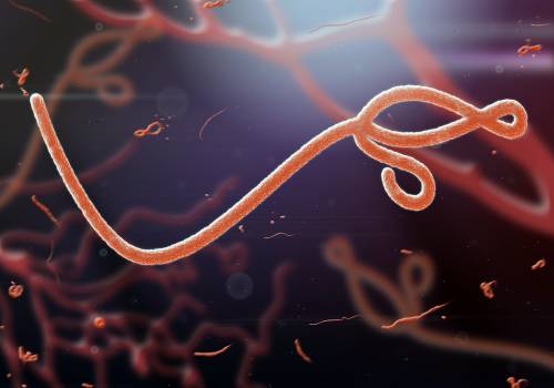Ebola: cepa rara faz primeira vítima em Uganda desde 2019