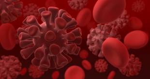 Khosta-2: vírus é semelhante ao da Covid-19 e pode contaminar humanos