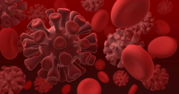 Khosta-2: vírus é semelhante ao da Covid-19 e pode contaminar humanos