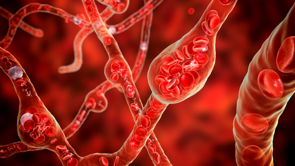 Teste com a mão ajuda a identificar doença cardiovascular