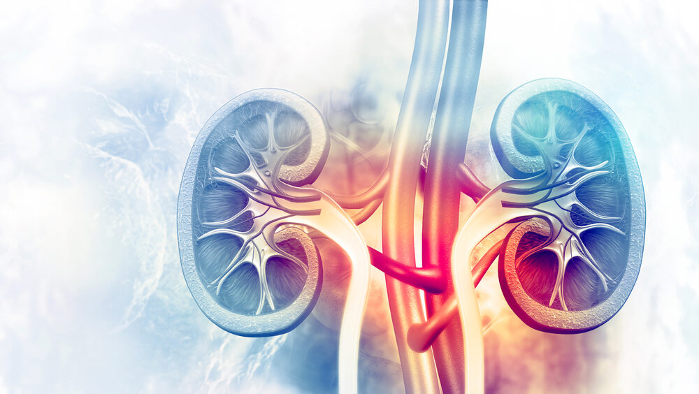 taxa de filtração glomerular