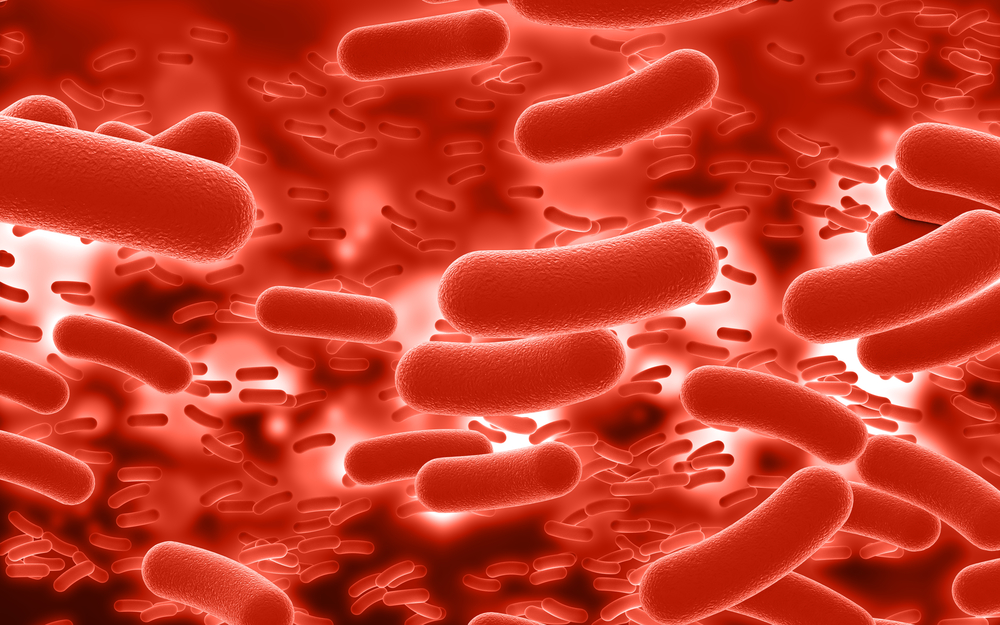 Fungo no sangue auxilia no diagnóstico de câncer, diz estudo