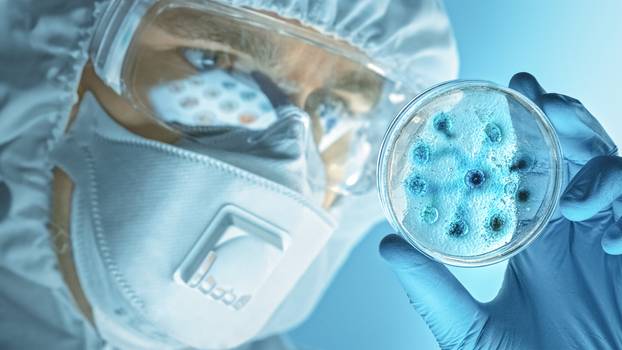 Fungos mais perigosos para a saúde: OMS divulga lista