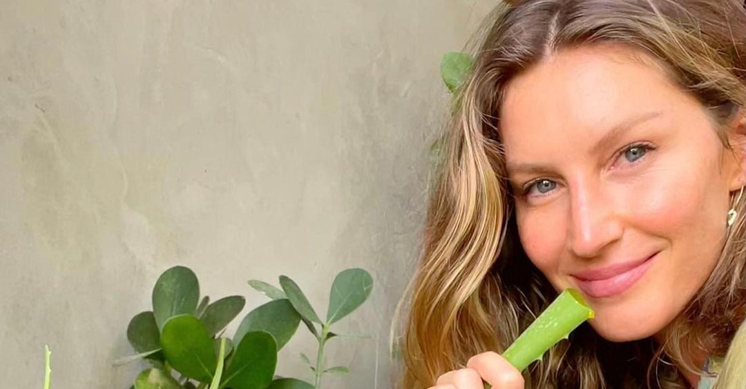 Jardim da Gisele Bündchen