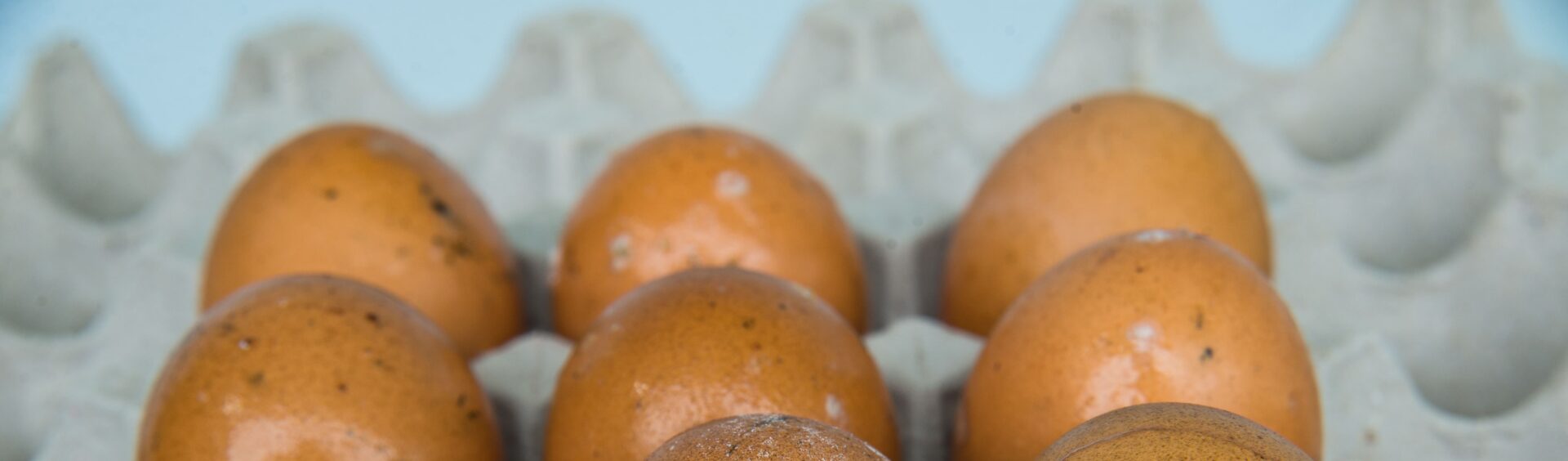 como saber se o ovo está estragado