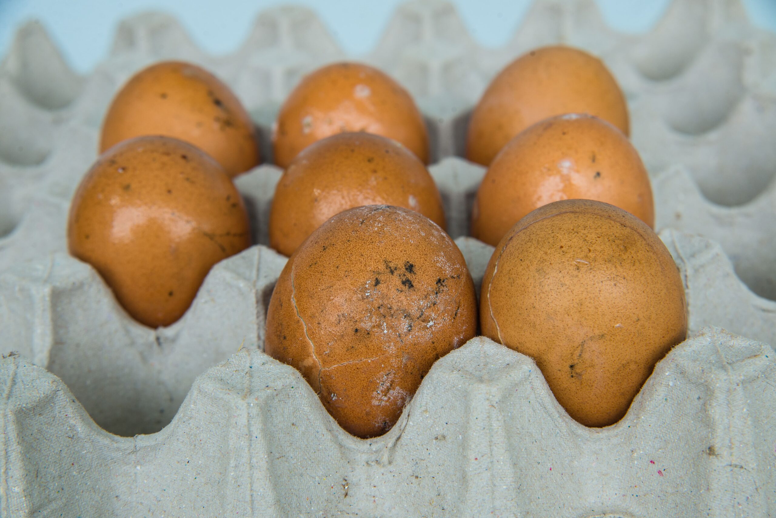 Como saber se o ovo está estragado?