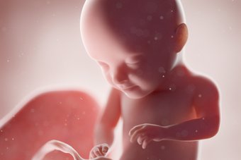 Xixi e cocô do bebê: o que acontece com eles durante a gravidez?