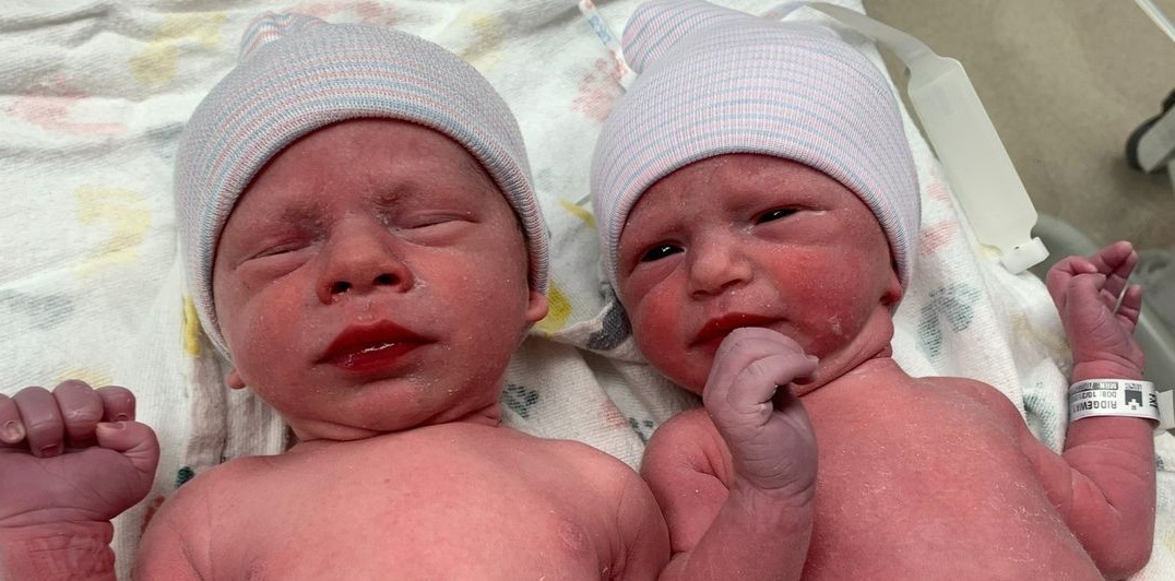 embriões congelados