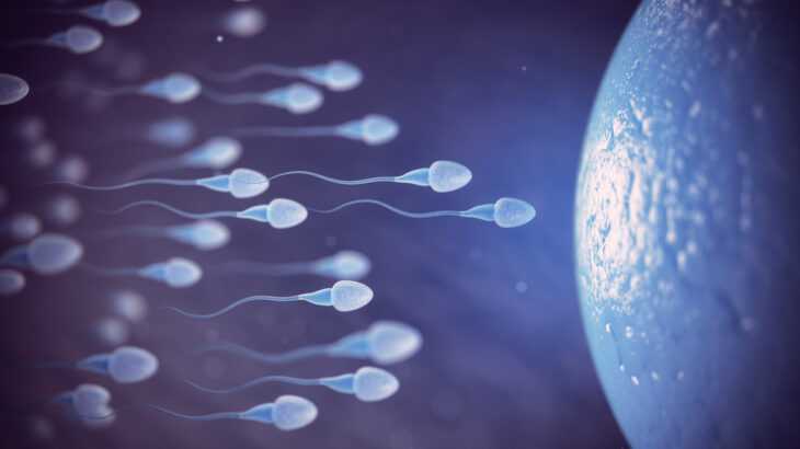 número de espermatozoides ao redor do mundo