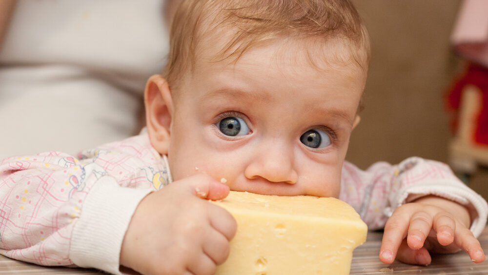 queijo para bebês
