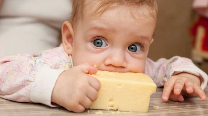 queijo para bebês