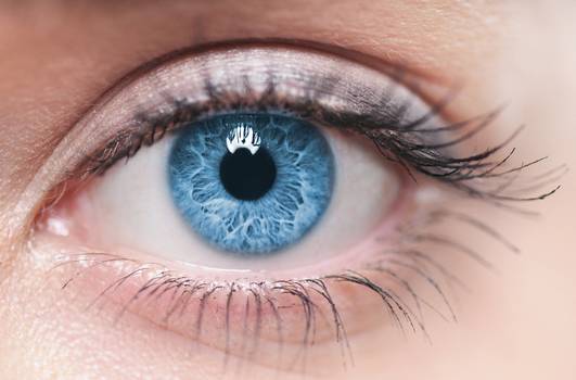 Saúde através dos olhos: principais sinais que os olhos revelam