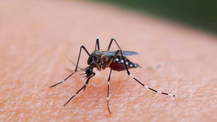 casos-de-dengue-aumentam