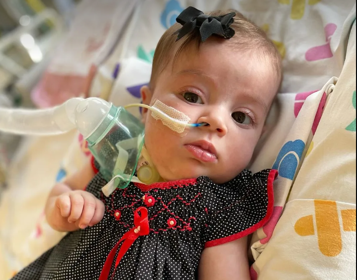 Filha de Juliano Cazzaré