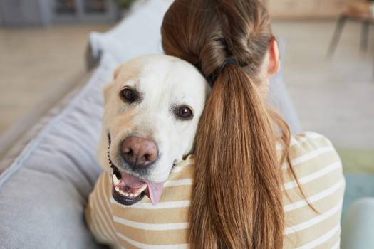 Pet terapia: como o contato com animais pode ajudar pacientes