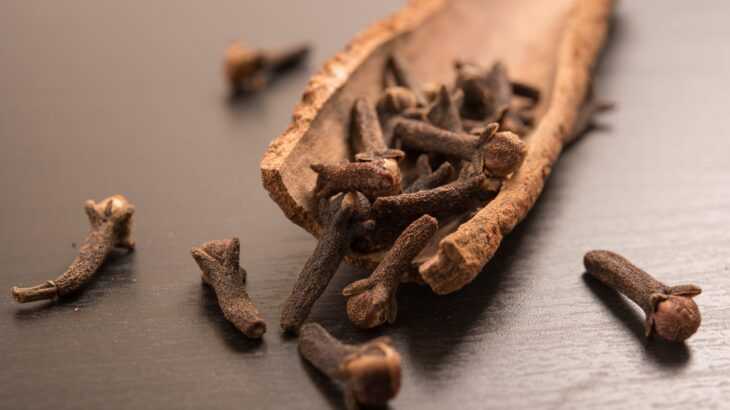 Chá de cravo-da-índia emagrece