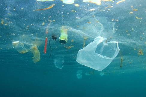 Como diminuir o consumo de plástico? Sua saúde e o planeta agradecem