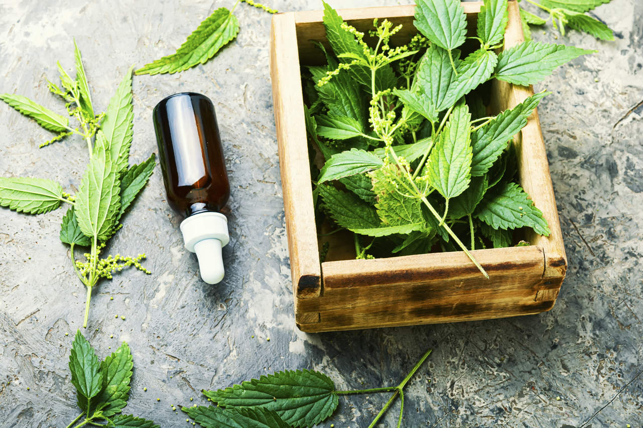 Tintura fitoterápica: o que é, benefícios e cuidados