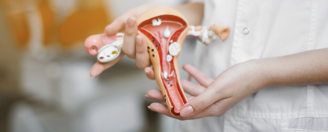 Como os hormônios femininos atuam em cada fase da vida