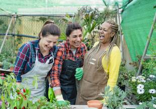 Jardinagem comunitária: veja os benefícios da prática