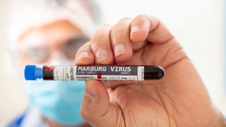 vírus de marburg