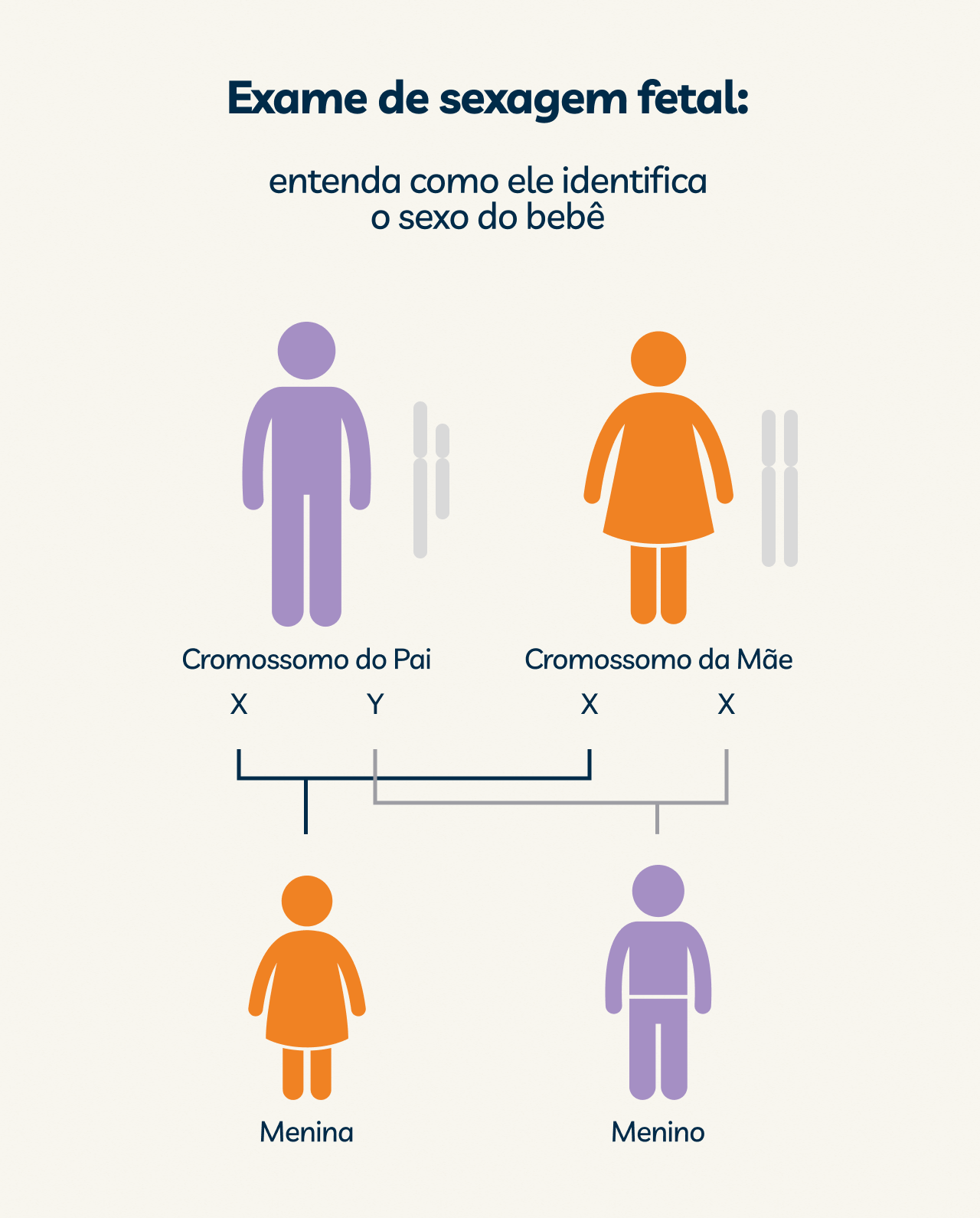 Sexagem fetal: tudo sobre o exame que descobre o sexo do bebê na 8ª semana  de gravidez